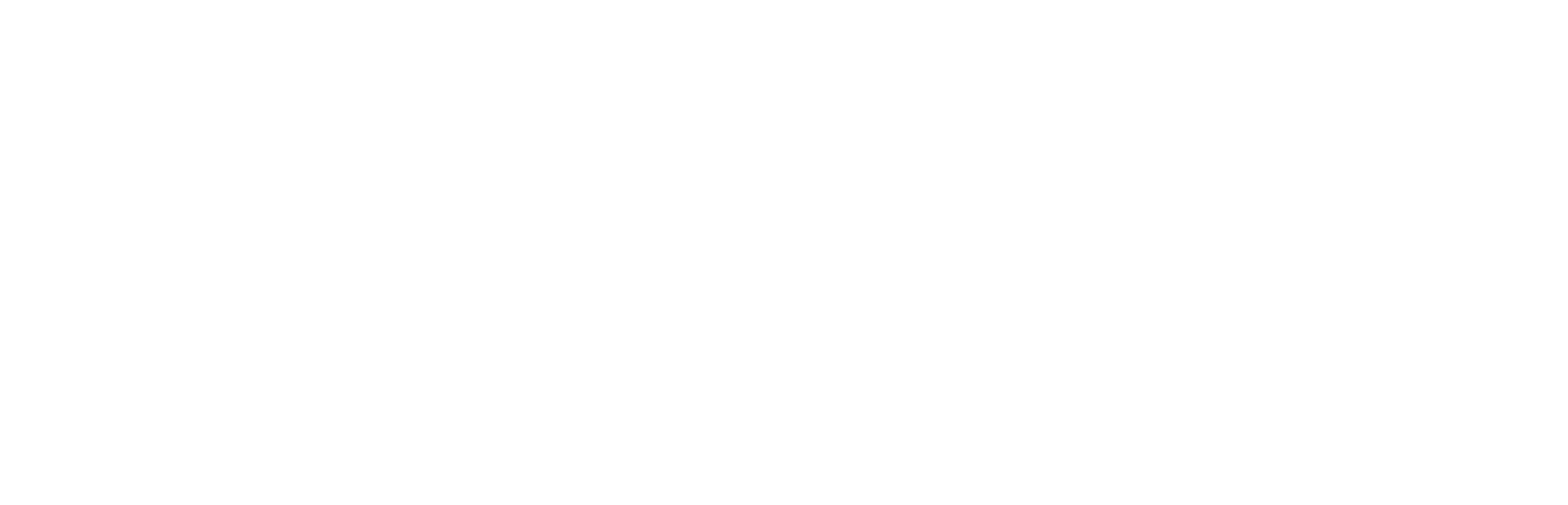 Logotipo do e4Nursing